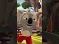 BLINKY BILL - The Wild Adventures of Blinky Bill 🐨🌿