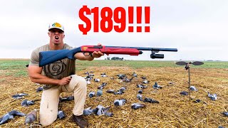 SOLO PIGEON HUNT WITH CHEAPEST SEMI-AUTO EVER MADE!!