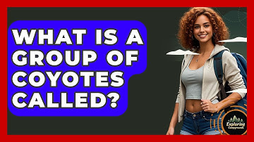 What Is A Group Of Coyotes Called? - Exploring Campgrounds