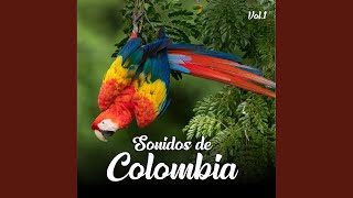 Aves del Pacífico Colombiano screenshot 5