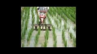 Paddy Power Weeder | Wet Land Weeder | TNAU Approved Weeder | Encore Agri Tech