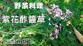 紫花酢漿草oxalis Corymbosa Dc 野外的救命草 Youtube