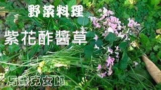 酸V酸V好滋味：紫花酢漿草三吃（Violet Wood Sorrel And The ... 