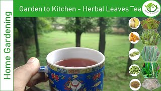 Garden to Kitchen -Herbal Leaves Tea |Turmeric leaf|Ginger leaf|Lemon Grass|Cardamom Grass|Coriander