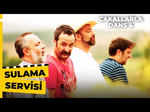 Çakalların Tuvalet Macerası | Çakallarla Dans 4