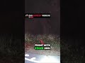 Police Field Sobriety Test Instructions