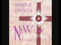 Simple Minds - New Gold Dream