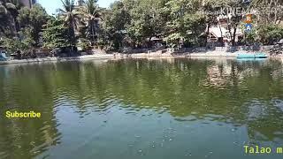 Talao majiwada thane
