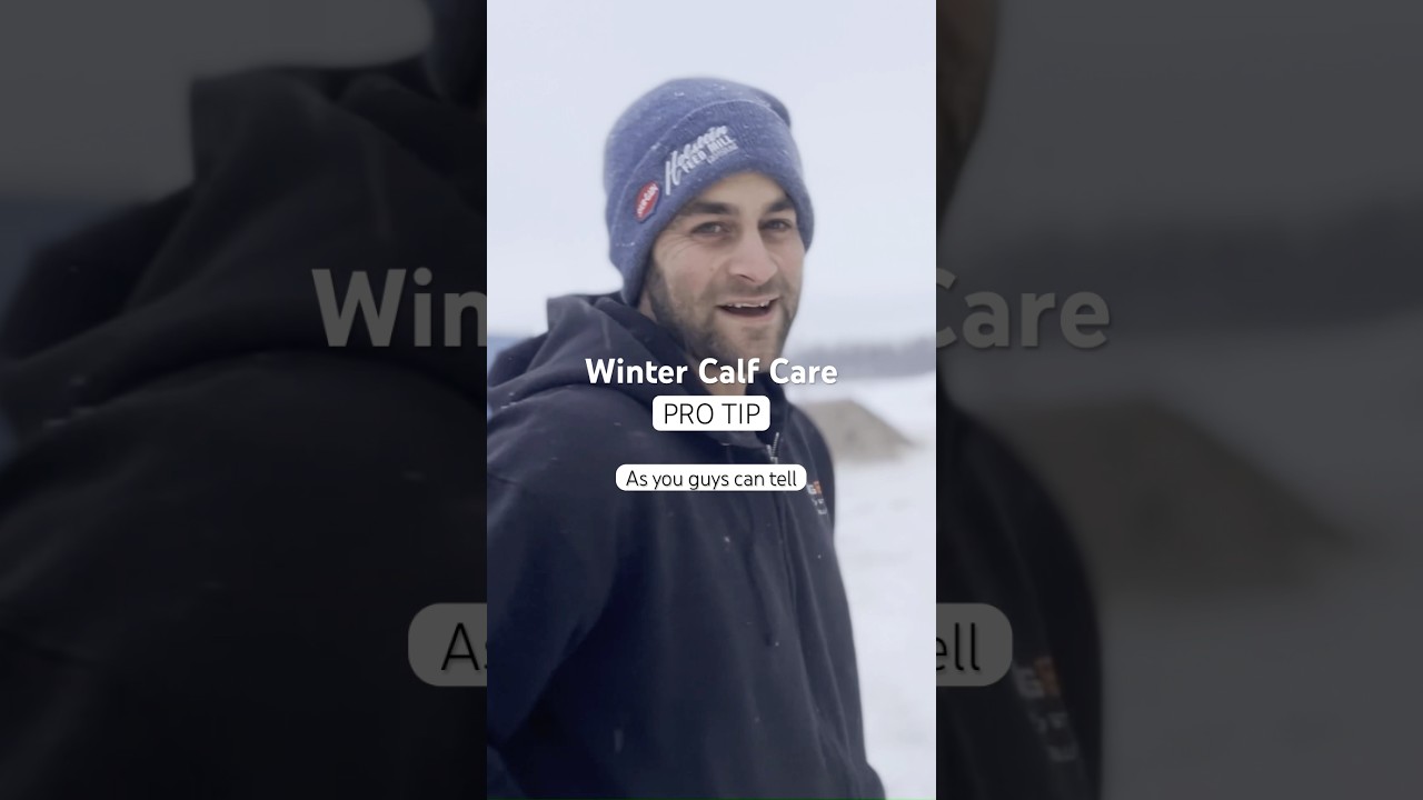 Keeping the Babies Warm 