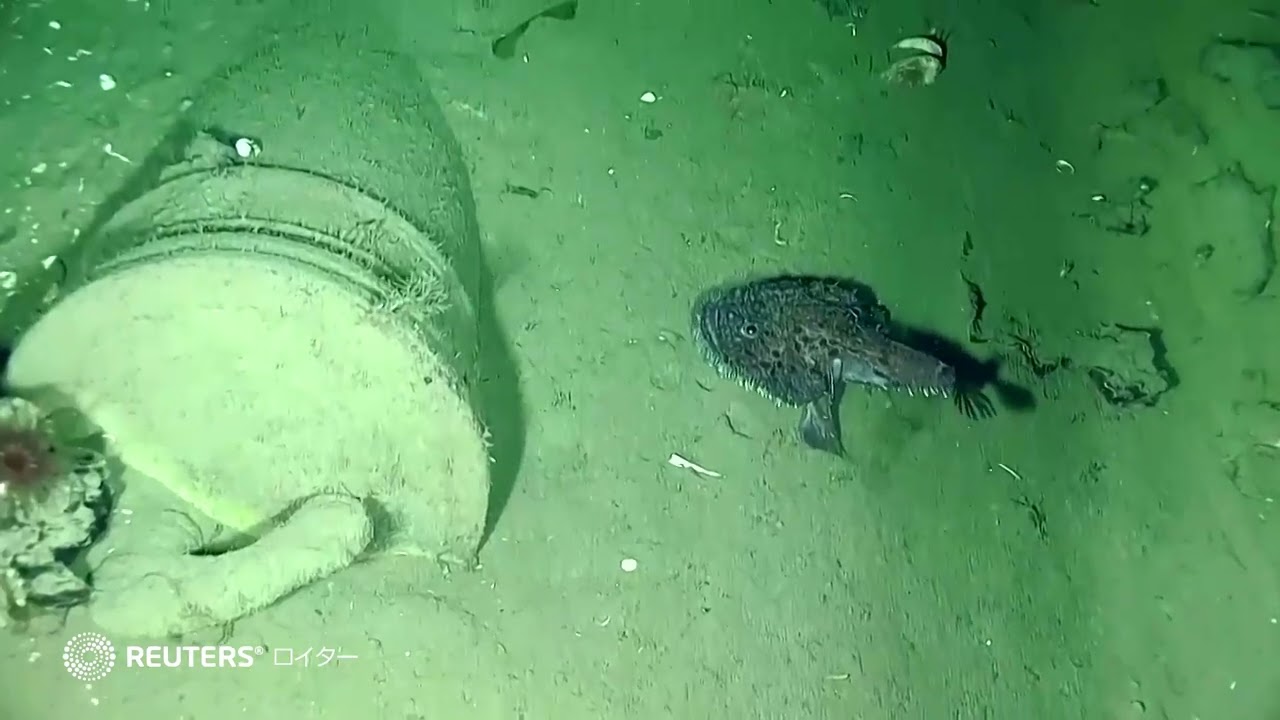 コロンビア沖で数百年前の沈没船を発見 - YouTube