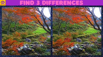 【Find the Difference】Brain Game Puzzle "Autumn Leaves" 74