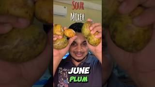 June Plum Sour Mixer