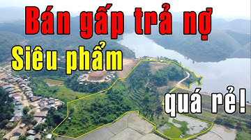 SIÊU PHẤM GIÁ RẺ! Bán đất vườn 19996m2 view hồ tuyệt đẹp 2 Sổ ngay KDC hợp làm homestay ở Đăk Nông