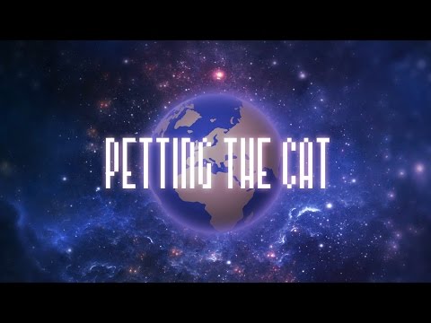 PETTING THE CAT