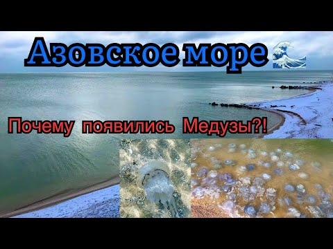 Азовское море! Наше