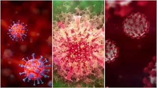 Everything That Happened Today in the Fight Against Coronavirus | NBC New York