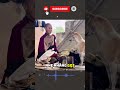 Ngạc nhiên! Thầy Minh Tuệ gọi chú chó là Sư Phụ #thichminhtue