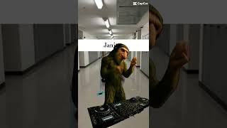 Dj Brr Brr