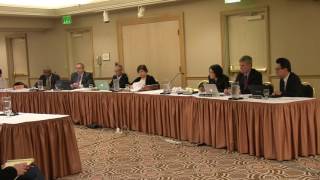 Panel A Meeting Part 2 - May 5, 2016