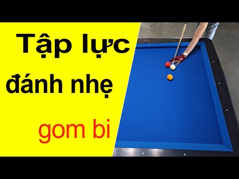 Bida gom cơ