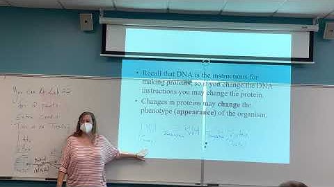 How Populations Evolve Lecture Part 1