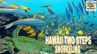 BEST SNORKELING BIG ISLAND HAWAII TWO STEPS HONAUNAU with DOLPHINS