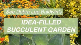 See Debra Lee Baldwin's Own Idea-Filled Succulent Garden