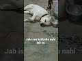 jab koi isse bolta nahi tab ye #trendingsong #youtubeshortsvideo #funnycomedyvideoes #followformore