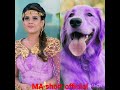 ❤❤Baal veer return all pari dress match dog❤❤#beautiful #status #ytshorts #Ma short official