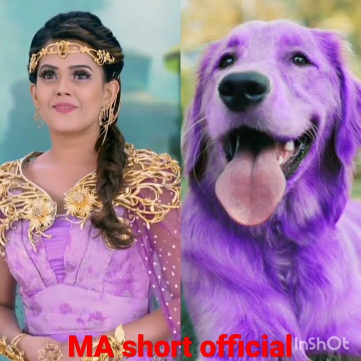 ❤❤Baal veer return all pari dress match dog❤❤#beautiful #status #ytshorts #Ma short official