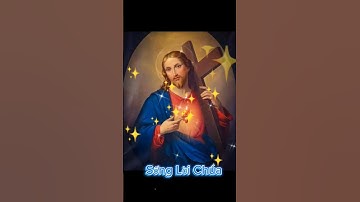 cầu nguyện #shorts #sống_lời_chúa #lời_chúa #cầu_nguyện_mỗi_ngày #cầunguyện #amen #suyniệmlờichúa