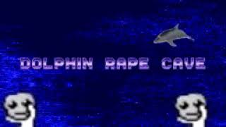 dolphin.mp4