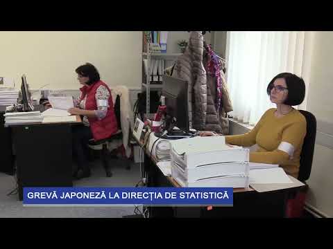 Grevă Japoneză la Direcția de Statistică