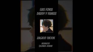 Luis Fonsi Daddy Y Yankee Despacito (Slowed+Reverb) Zagato