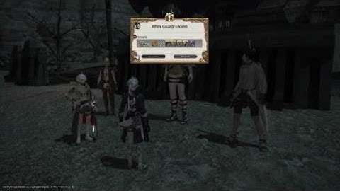 FFXIV 4.0 Quests - Wher Courage Endures