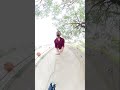 insta 360video,, funny #reels #360funny #360video #experiment #insta360 #elx
