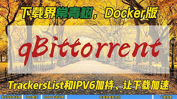 下载界常青树，Docker版qBittorrent~TrackersList和IPV6加持，让下载加速~