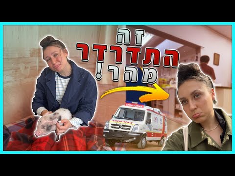 זה התחיל מבית קפה עם חזירים ונגמר בבית חולים טוקיו חלק 2 