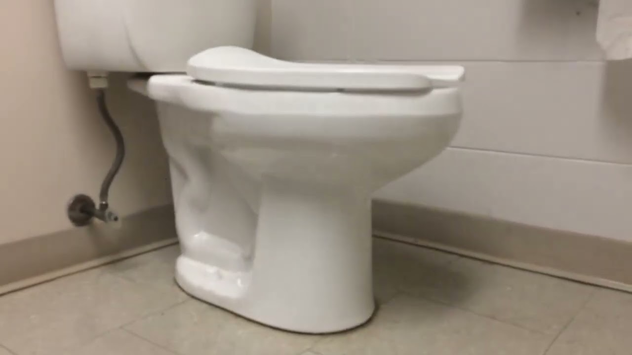 100. All Toilets At My School