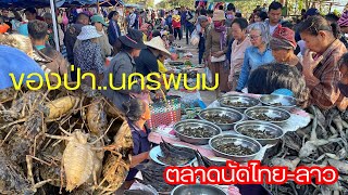 ตลาดนัดไทย-ลาว บ้านหนาด จ.นครพนม แมงระงำ โตเนี่ยว เขียดน้อย คนมาซื้อ”ของป่าลาว“หลายคัก