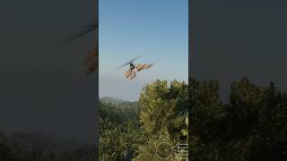 The Next Post Will Be My Revenge