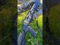 Best Benelli clone? Orthos Raider S4 🤔