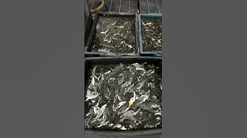 CNC vertical grinding machine, Chinese knife and scissors grinding machine #factory #machine