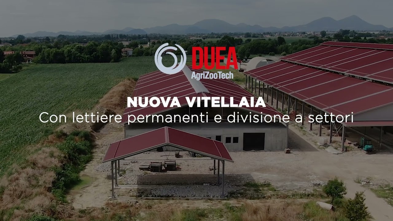 DUEA Referenza Zilio -  Impianto Completo