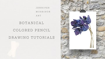 Botanical Art Tutorials Preview Video