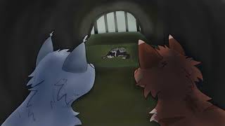 Arcade - Needletail MAP part 3