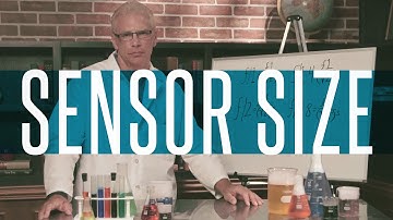 The Basics of Sensor Size: FocusEd