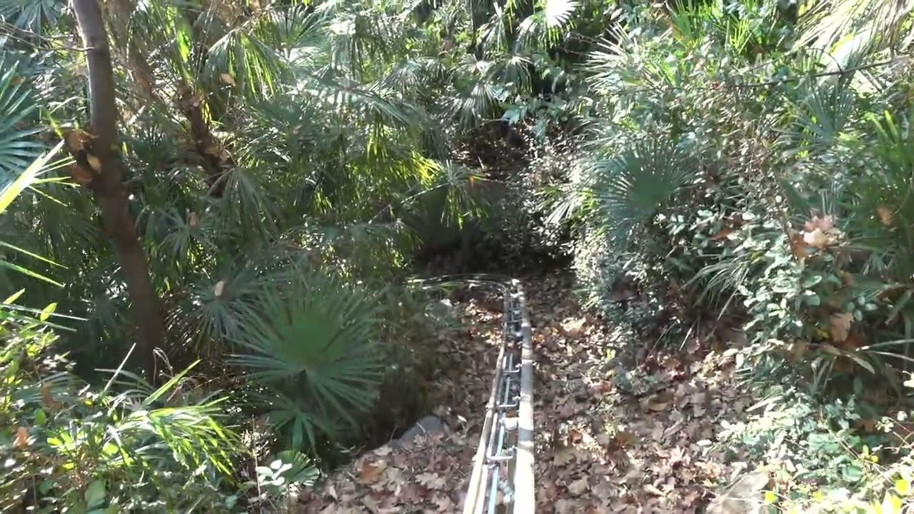 Durch den Urwald von Ascona fahren