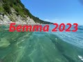 Бетта 2023 август