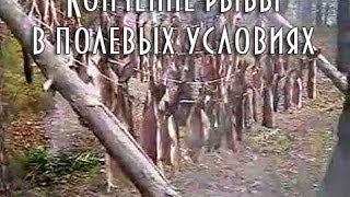 Копчение рыбы в полевых условиях 🐠 Копчение рыбы в полевых условиях 🐠